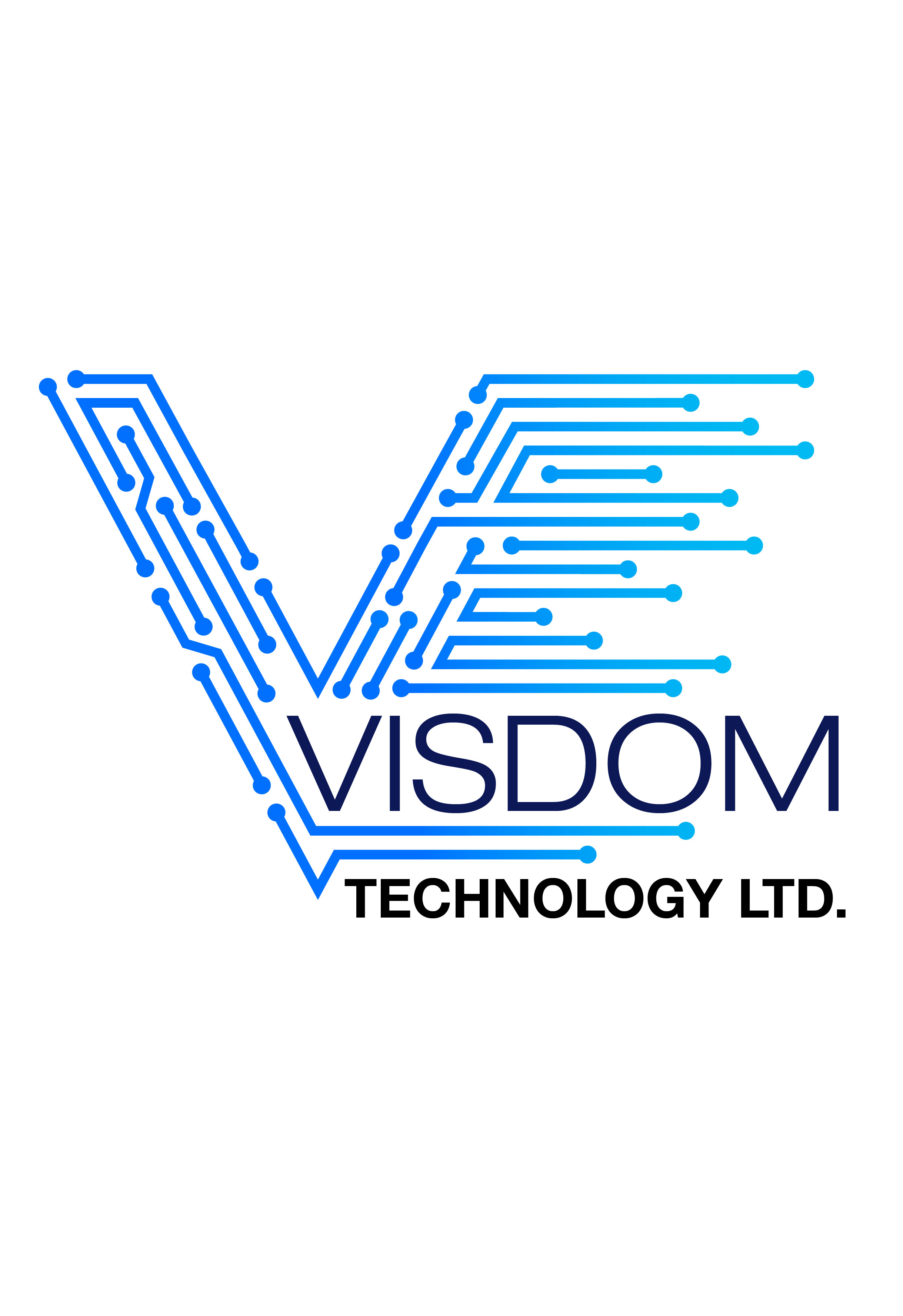 VISDOM LOGO